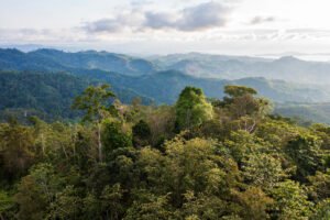 Hutan alam Gorontalo